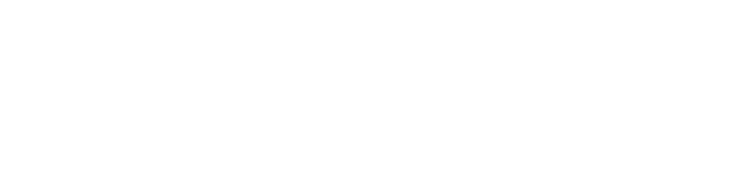 Riverside Festival Logo