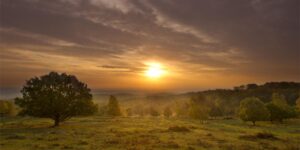 A sunset over a beautiful landscape