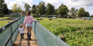 A woman and child walking over a bridge in a corn maze