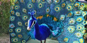 Knitted male peacock with tail feathers in full span
