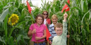 kids playing in a corn maze