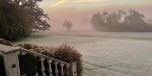 A field and wooded area on a snowy morning