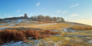 bradgate park on a snowy day