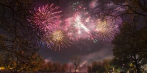 fireworks display in a park