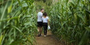 People walking though the maze