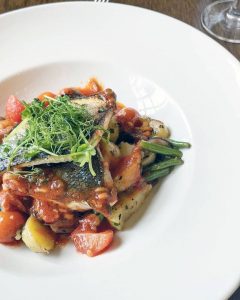 salmon food dish