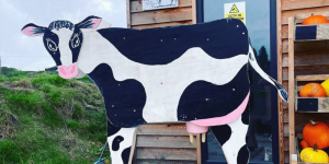 wooden cow at farm shop