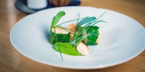 well plated fish and salad dish