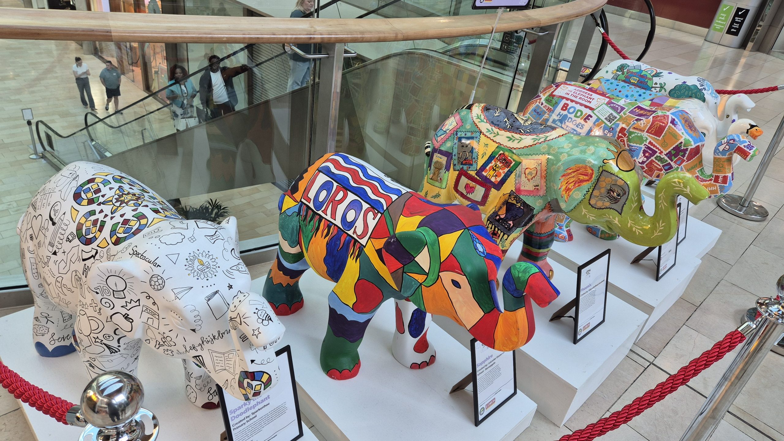 Baby Elephants in Highcross