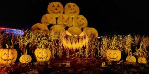 Cattows Halloween Farm