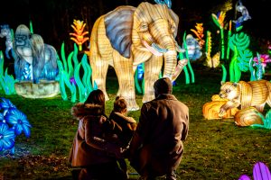 Lanterns of the Wild at Twycross Zoo