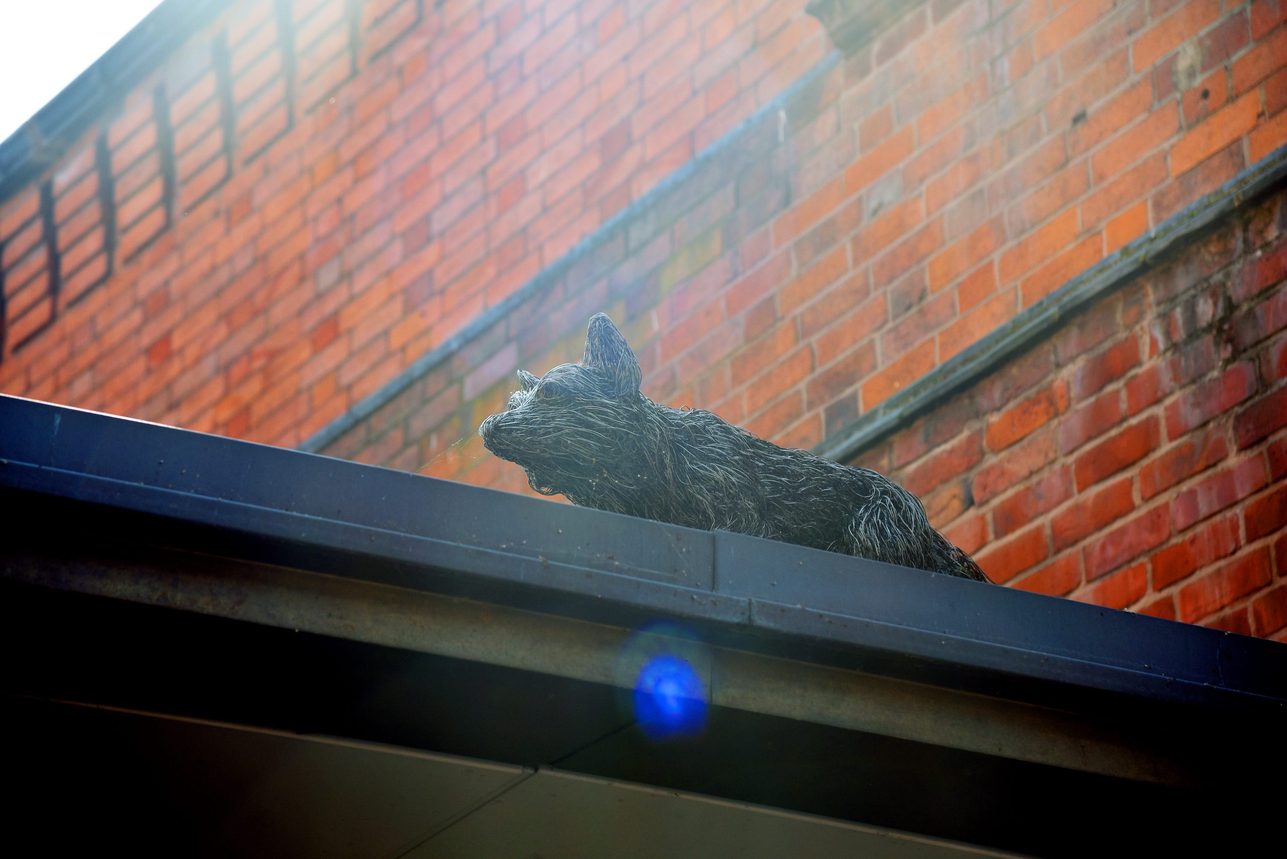 fox sculpture on roof