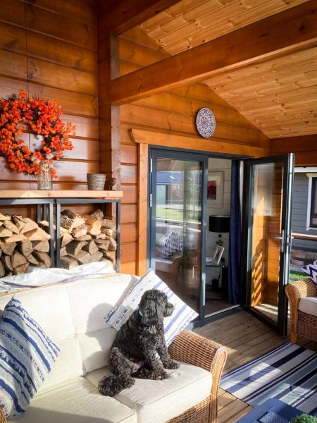 A dog sitting on a sofa in a cabin