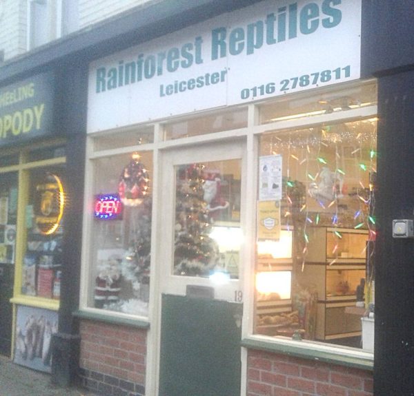 Rainforest Reptiles front