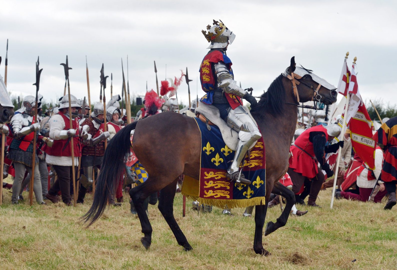 Bosworth Battlefield Horse