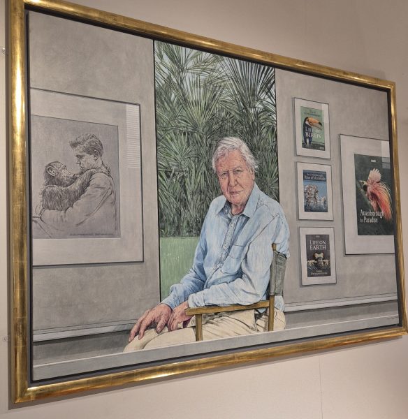 A portrait of Sir David Attenborough in Leicester Museum