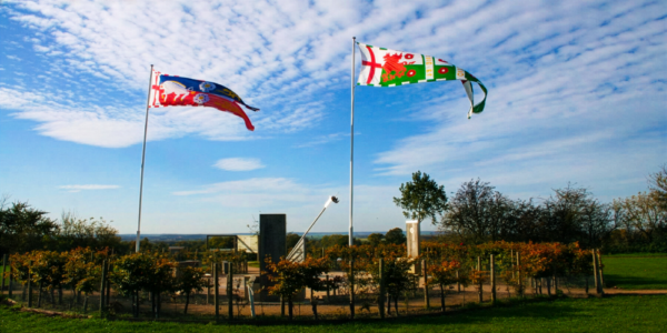 field with flags in