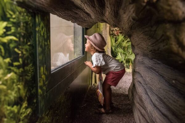 child looking through glass